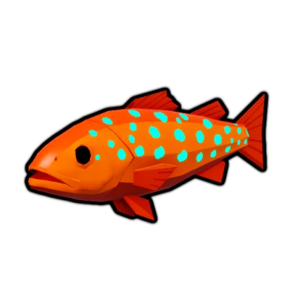 Spotted Grouper