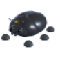 Giant Black Scarab