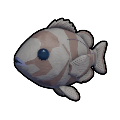 Stonebelly Fish