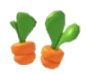 Carrot Sprout