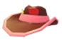 Pink Cowboy Hat