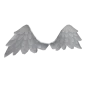 Angel Wings