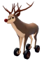 Reindeer Car