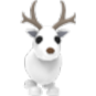 Arctic Reindeer