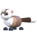 Black-Footed Ferret