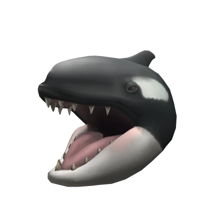 Hungry Orca