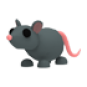 Rat