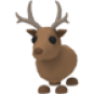 Reindeer