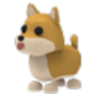 Shiba Inu