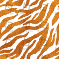 Radiant Tiger