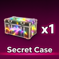 Secret Case x1