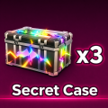 Secret Case x3