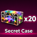 Secret Case x20