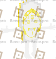 Flipa Sandala