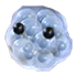 Frogspawn