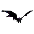 Black Spotty Dragon