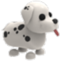 Dalmatian