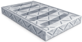 Common Conveyor