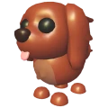 Irish Setter