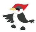 Woodpecker Sticker