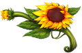 Sunflower Gun