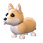 Corgi