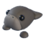 Dugong