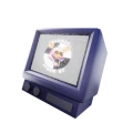 Lolbit pet