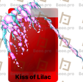 Kiss of Lilac