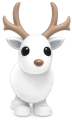 Arctic Reindeer
