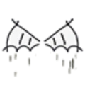 2D Wings