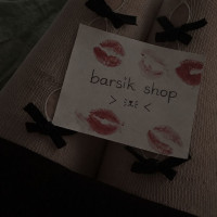 Barsik5501