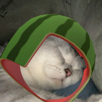 Дамирчик