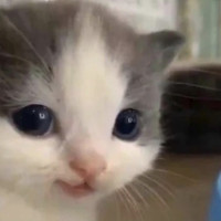 bbbbbbx