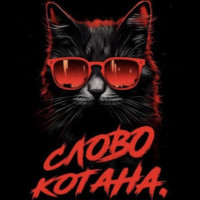Магазин Кота