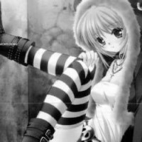 dollyhrrts