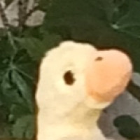 GetyKe