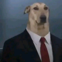 mrbeet