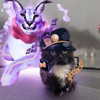 Jotaro Kujo1
