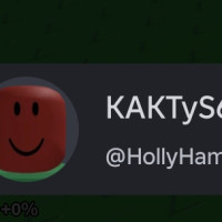 HollyHampton3090