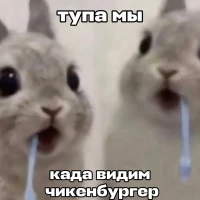 Зояц