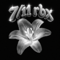 711 rbx