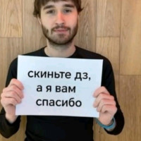 Боевой крот
