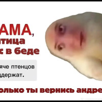 жопахруст