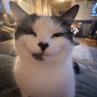 HowlClawYT